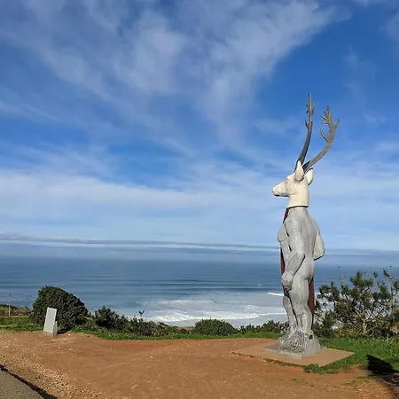 公寓 Blue Boat House - The Atlantic Breeze