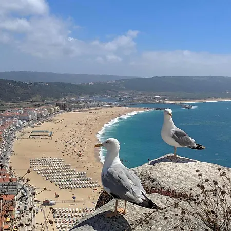 公寓 Blue Boat House - The Atlantic Breeze 纳扎雷