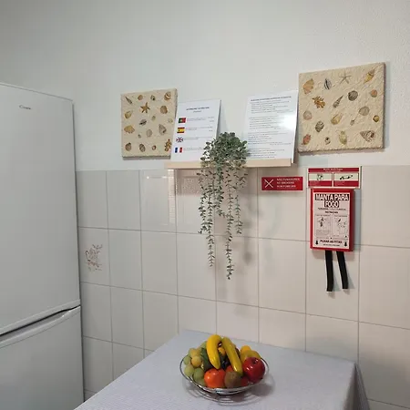 公寓 Blue Boat House - The Atlantic Breeze 纳扎雷