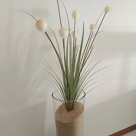 Blue Boat House - The Atlantic Breeze